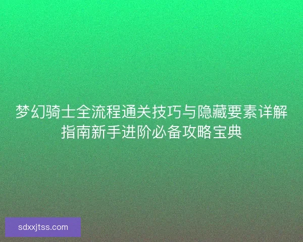 梦幻骑士全流程通关技巧与隐藏要素详解指南新手进阶必备攻略宝典