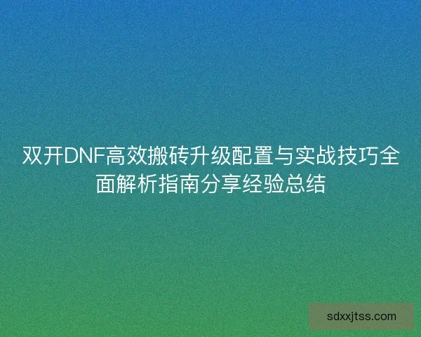 双开DNF高效搬砖升级配置与实战技巧全面解析指南分享经验总结
